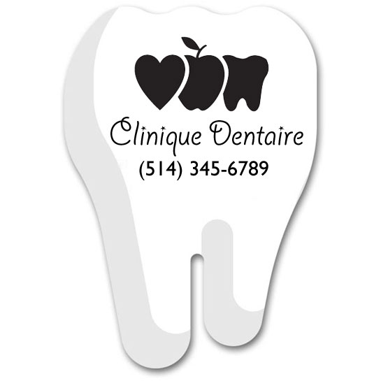 Aimants - Dent Image