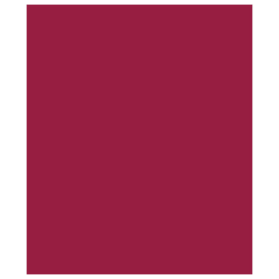 Papier de soie - cabernet Image