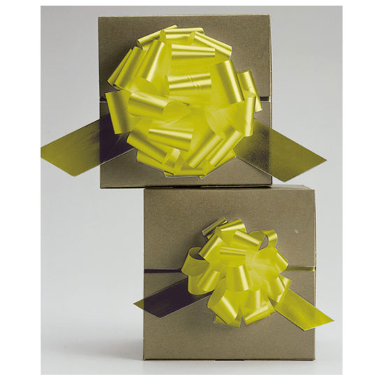 Chou parfait - jaune Image